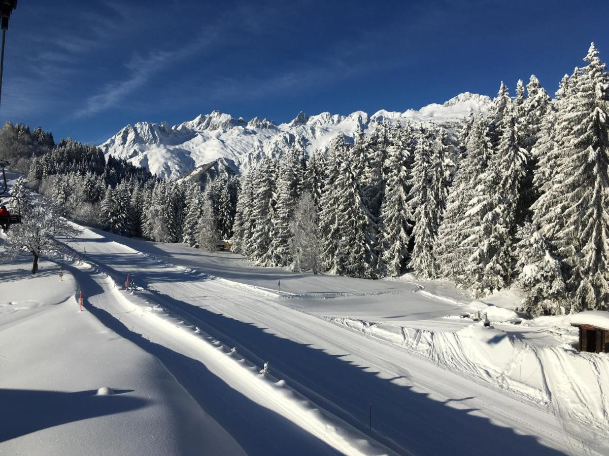 Chalet Confidentiel Valmorel - Chalet De Haut De Gamme 4 Etoiles 12 Personnes Doucy 외부 사진